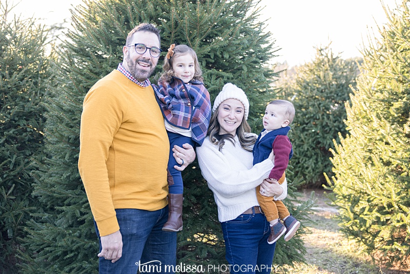tree farm family photography
