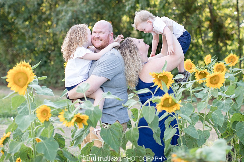 sunflower mini sessions photography